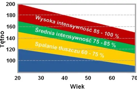 Ile cardio na redukcji? Sprawdź klucz do spalania tłuszczu