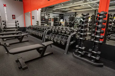 Siłownie Przeworsk: Twój przewodnik po najlepszych klubach fitness