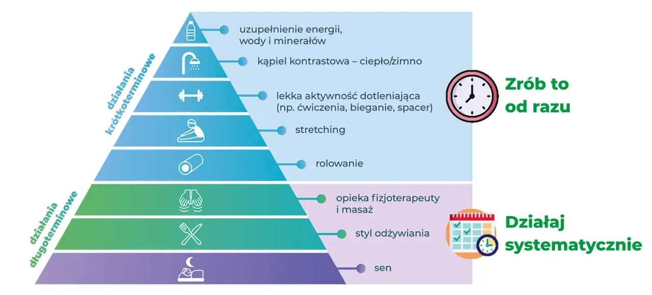 Zdjęcie Co po treningu? Odżywianie, regeneracja i nawodnienie dla efektów